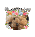最後の時までハッピー✨️ スタンプ 日常（個別スタンプ：25）