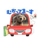 最後の時までハッピー✨️ スタンプ 日常（個別スタンプ：30）