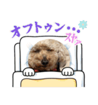 最後の時までハッピー✨️ スタンプ 日常（個別スタンプ：38）