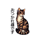 おめかし！ドット猫（個別スタンプ：5）