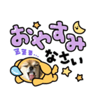 マシュスタンプ4（個別スタンプ：2）