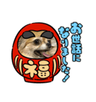 マシュスタンプ4（個別スタンプ：7）