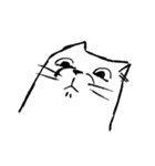 他人顔ねこ（個別スタンプ：2）