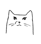他人顔ねこ（個別スタンプ：20）