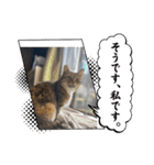 てんざるはっさくの日常（個別スタンプ：2）