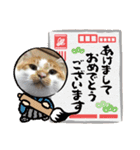 てんざるはっさくの日常（個別スタンプ：14）