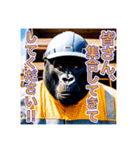 現場で働くゴリラさん（個別スタンプ：16）