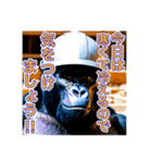 現場で働くゴリラさん（個別スタンプ：17）