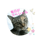 あんずちゃん其の14（個別スタンプ：1）