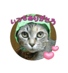 あんずちゃん其の14（個別スタンプ：6）
