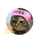 あんずちゃん其の14（個別スタンプ：14）