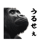 大煽りゴリラごりら（毎日便利あおり返信）（個別スタンプ：8）