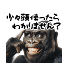 大煽りゴリラごりら（毎日便利あおり返信）（個別スタンプ：23）