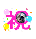 鷹羅木さんのスタンプ第一弾（個別スタンプ：4）