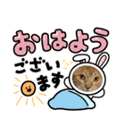 癒しのネコズ①（個別スタンプ：1）