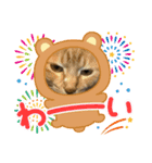 癒しのネコズ①（個別スタンプ：3）