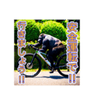 自転車が好きなゴリラさん（個別スタンプ：5）