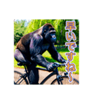 自転車が好きなゴリラさん（個別スタンプ：6）