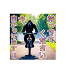 自転車が好きなゴリラさん（個別スタンプ：10）