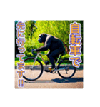 自転車が好きなゴリラさん（個別スタンプ：11）