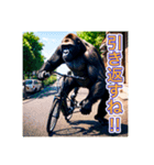 自転車が好きなゴリラさん（個別スタンプ：13）