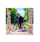 自転車が好きなゴリラさん（個別スタンプ：16）