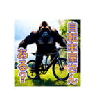 自転車が好きなゴリラさん（個別スタンプ：17）