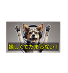 解説の犬さん（個別スタンプ：4）