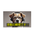 解説の犬さん（個別スタンプ：9）