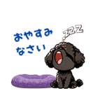 黒いマルプーちゃんの年末年始スタンプ（個別スタンプ：12）