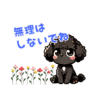 黒いマルプーちゃんの年末年始スタンプ（個別スタンプ：13）