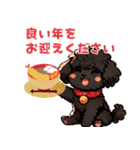 黒いマルプーちゃんの年末年始スタンプ（個別スタンプ：15）
