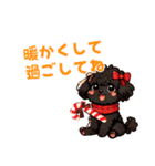 黒いマルプーちゃんの年末年始スタンプ（個別スタンプ：17）