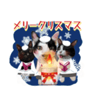 猫たちの年末年始2（個別スタンプ：2）