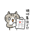 食事に誘うねこ（個別スタンプ：6）