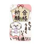 【Big】シーズー犬 『お祝いの言葉』2025（個別スタンプ：24）