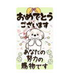 【Big】シーズー犬 『お祝いの言葉』2025（個別スタンプ：31）