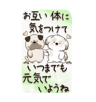 【Big】シーズー犬 『お祝いの言葉』2025（個別スタンプ：38）