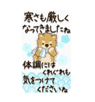 【Big】柴犬 『お祝いの言葉』2025（個別スタンプ：19）