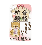 【Big】柴犬 『お祝いの言葉』2025（個別スタンプ：24）