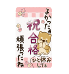 【Big】柴犬 『お祝いの言葉』2025（個別スタンプ：27）