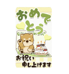 【Big】柴犬 『お祝いの言葉』2025（個別スタンプ：29）