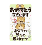 【Big】柴犬 『お祝いの言葉』2025（個別スタンプ：31）