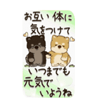 【Big】柴犬 『お祝いの言葉』2025（個別スタンプ：38）