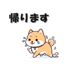 毎日いぬ 挨拶返答編 イヌ 犬（個別スタンプ：18）