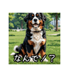 犬のスタンプ 日常会話（個別スタンプ：24）