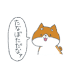 柴犬って可愛いね（個別スタンプ：22）