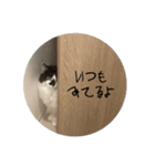 meme's stamp ver.3（個別スタンプ：2）