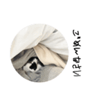 meme's stamp ver.3（個別スタンプ：5）