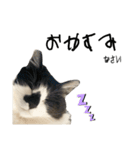 meme's stamp ver.3（個別スタンプ：11）